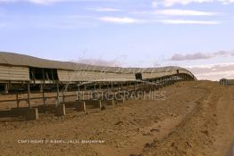 Image du Maroc Professionnelle de  Bande transporteuse des phosphates à Boucraa de L'Office chérifien des phosphates. Le Groupe OCP est une société anonyme fondée en 1920 et domiciliée au Maroc. OCP S.A est le Leader mondial de l'industrie du phosphate, Mardi 8 Février 2005. (Photo / Abdeljalil Bounhar) 